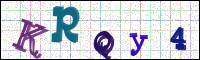Image Verification