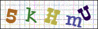 Image Verification