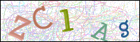 Image Verification