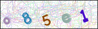 Image Verification