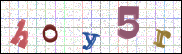 Image Verification