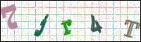 Image Verification