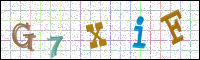 Image Verification