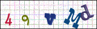 Image Verification