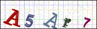 Image Verification