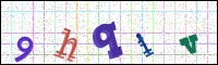 Image Verification