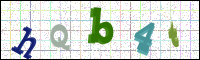 Image Verification