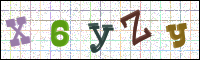 Image Verification