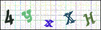Image Verification