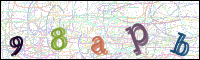 Image Verification