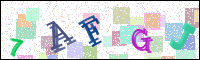 Image Verification