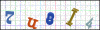Image Verification