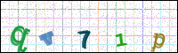 Image Verification
